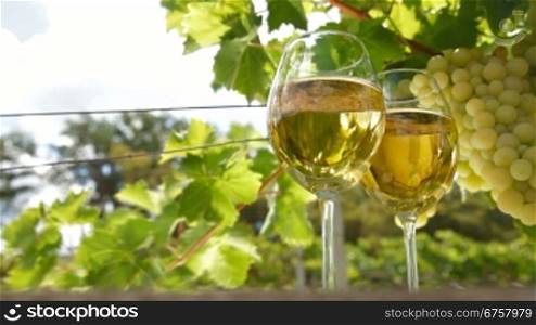 Two glasses of white wine and bunch of muscat white grapes