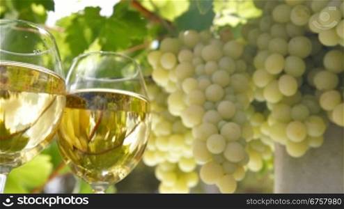 Two glasses of white wine and bunch of muscat white grapes, tracking shot