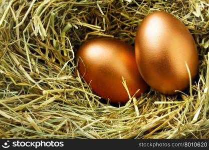 Two gold eggs in nest close up