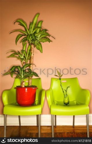 Two Green Plastic Chairs with Plants