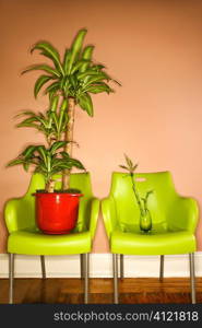 Two Green Plastic Chairs with Plants