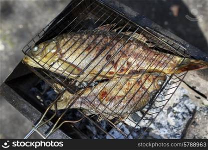 Two grilled carp on bbq fireplace, roasted&#xA;