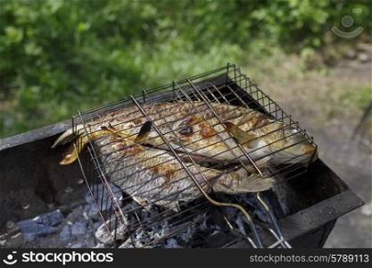 Two grilled carp on bbq fireplace, roasted&#xA;