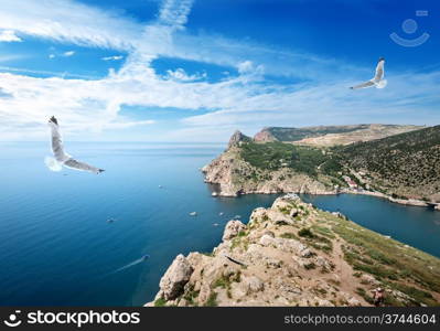 Two gulls over the sea and mountains