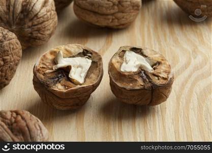 Two half fresh picked wet walnuts