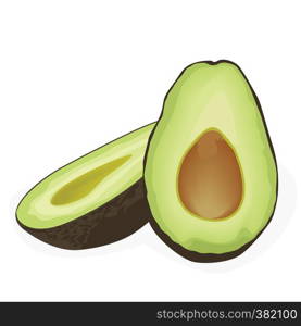 Two halves of avocado vector illustration