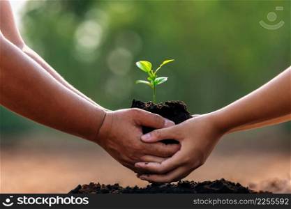 two hand holding small plant for planting in garden. concept earth day