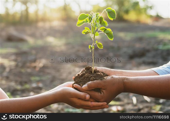 two hand holding young for planting in garden. concept save world