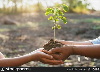 two hand holding young for planting in garden. concept save world