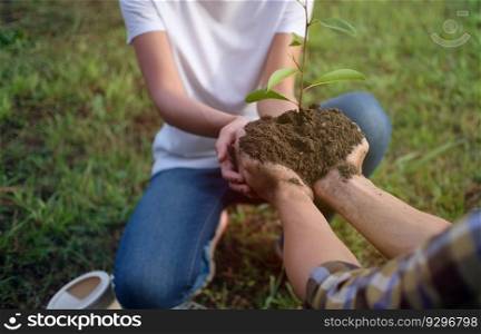 Two hands holding together young of tree. plant growing in nature