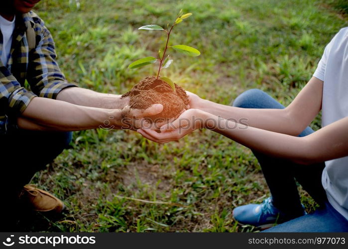 Two hands holding together young of tree. plant growing in nature