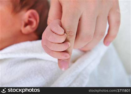 Two hands. man holding baby&acute;s hand