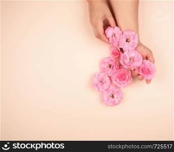 two hands of a young girl with smooth skin and pink rose on a beige background, top view, fashionable concept for hand skin care, anti-aging care, spa treatments