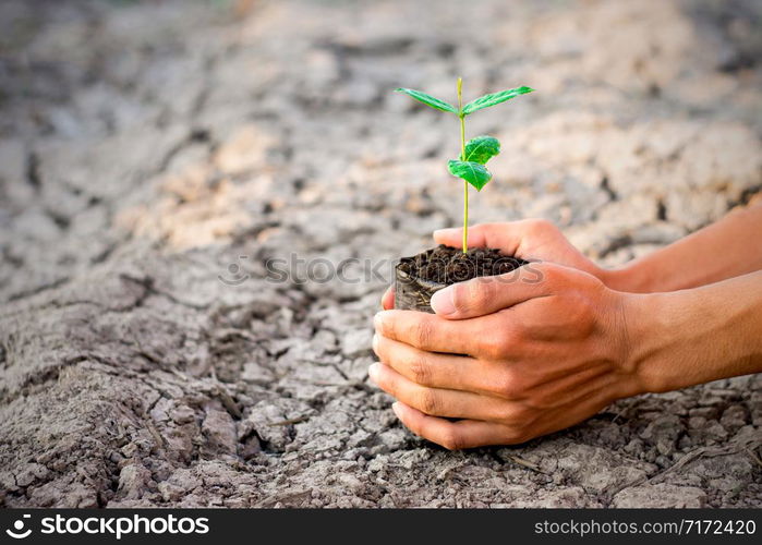 Two hands of the men were holding a seedling nursery bags placed on the ground to dry.