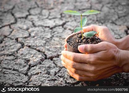 Two hands of the men were holding a seedling nursery bags placed on the ground to dry, global warming concept.