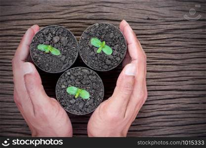 Two hands of the men were surrounded from three seedlings are planted in plastic bottles placed on a wooden floor, ecology concept.