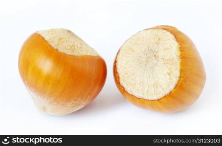 two hazelnuts isolated on white