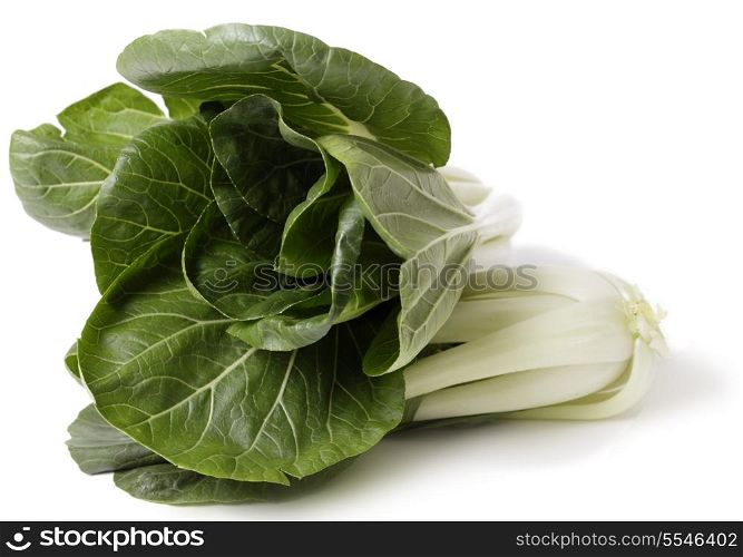 Two heads of fresh bok choi Asian cabbage over a white background.