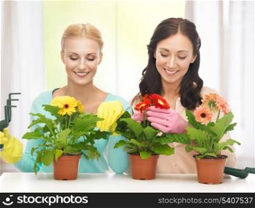 two housewives with flower in pot and gardening set