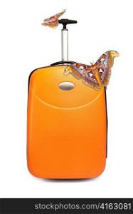 Two huge tropical butterflies on a suitcase
