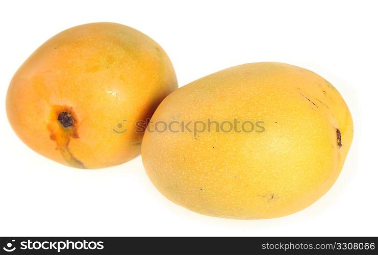 Two Indian mangoes on a white background