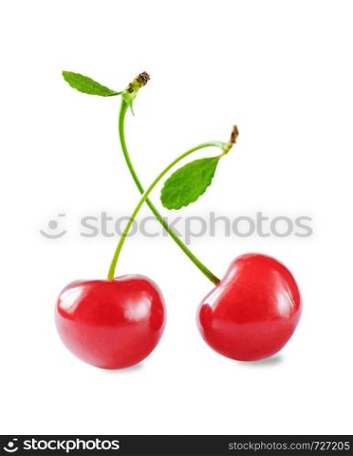 Two juicy red cherry berries with petioles and green leaves isolated on a white background closeup
