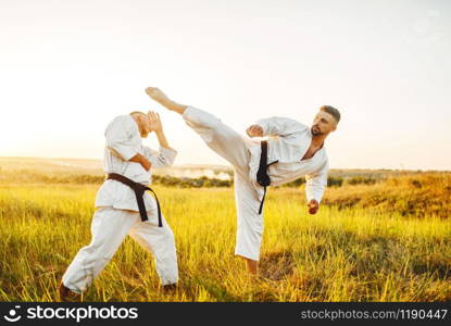 Two karate fighters, kick in the stomach in action, training fight in summer field. Martial art fighters on workout outdoor, technique practice. Two karate fighters, kick in the stomach