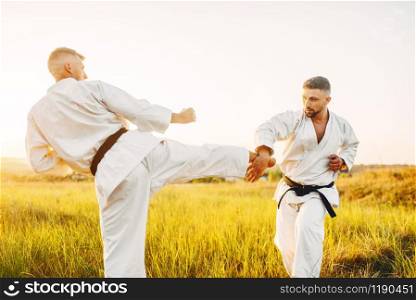 Two karate fighters, kick in the stomach in action, training fight in summer field. Martial art fighters on workout outdoor, technique practice. Two karate fighters, kick in the stomach