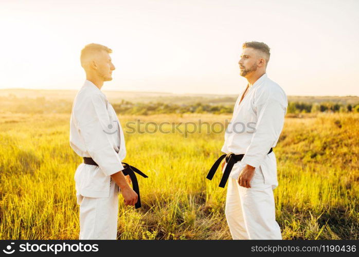 Two karate fighters with black belts on training fight in summer field. Martial art fighters on workout outdoor, technique practice. Two karate fighters on outdoor training fight