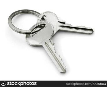 Two keys on a keyring isolated on white