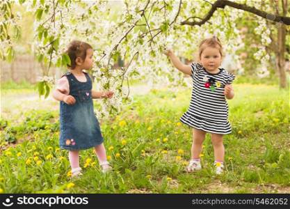 Two little girls in the park under the blossom tree