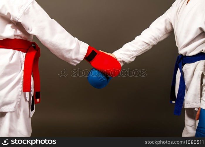 two little karate girls in kimonos and full sports equipment in red and blue shake hands before the competition. karate girls figters