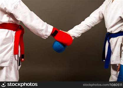 two little karate girls in kimonos and full sports equipment in red and blue shake hands before the competition. karate girls figters