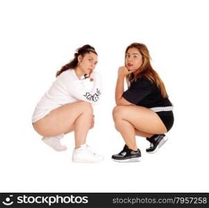 Two lovely woman, Caucasian and East Indian, crouching on the floor,facing each other, isolated for white background.