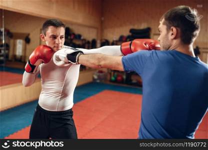 Two male kickboxers in gloves practicing on workout in gym. Fighters on training, kickboxing practice in action, sparring partners