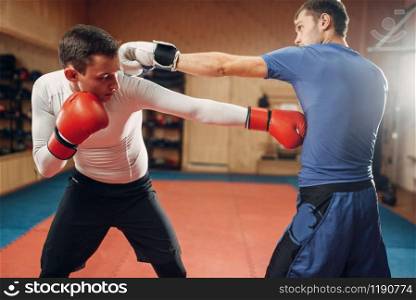 Two male kickboxers in gloves practicing on workout in gym. Fighters on training, kickboxing practice in action, sparring partners. Two male kickboxers practicing on workout in gym