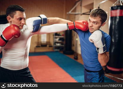 Two male kickboxers in gloves practicing on workout in the gym. Fighters on training, kickboxing practice in action, sparring partners. Two male kickboxers practicing on workout in gym