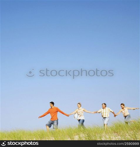 Two mature couples holding hands and walking on a landscape