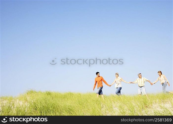 Two mature couples holding hands and walking on the beach