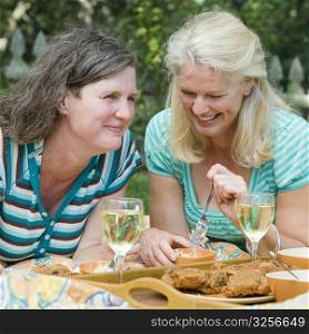 Two mature women having picnic