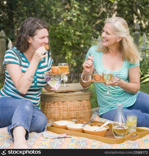 Two mature women having picnic in a park