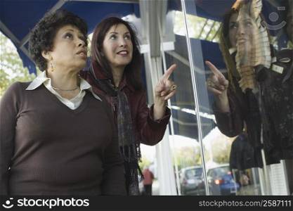 Two mature women looking at window display