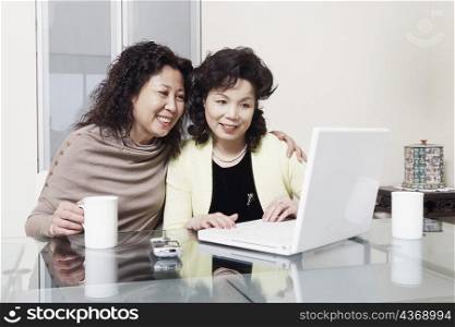Two mature women using a laptop smiling