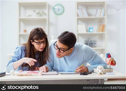 Two medical students studying in classroom