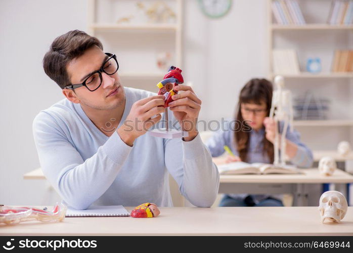 Two medical students studying in classroom