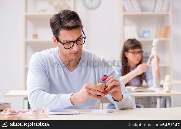 Two medical students studying in classroom