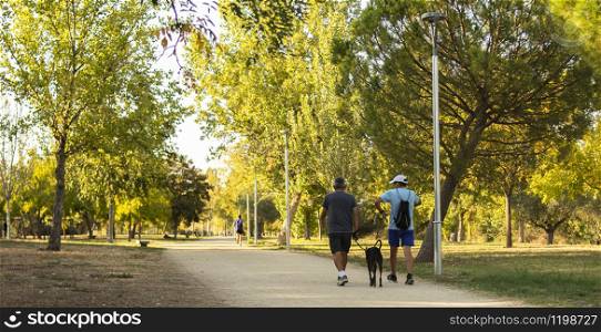 Two men and their dog do sports walking on the sidewalk of a sunny park at sunset