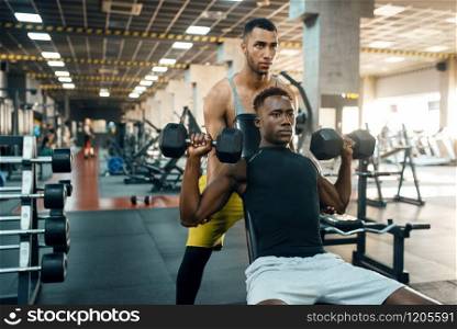 Two men doing exercise with dumbbells on bench, training in gym. Fit workout in sport club, healthy lifestyle, fitness. Two men doing exercise with dumbbells on bench
