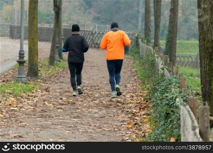 Two men jogging in park in autumn. Health and fitness