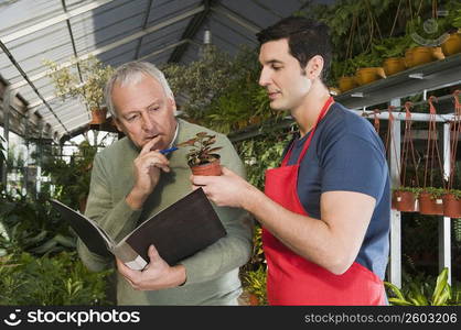 Two men making the record of plants in a garden center